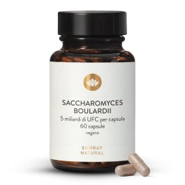 Saccharomyces Boulardii
