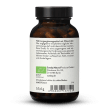 Bio Hericium Erinaceus Extrakt Kapseln