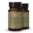Phyto Energy Vital Mix