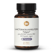 Limosilactobacillus reuteri Pylopass®