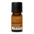 Organic Balsam Fir Oil, Wildcrafted
