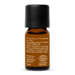 Organic Douglas Fir Oil Wildcrafted