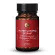 Roter Ginseng Extrakt 19,5%