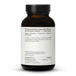 Bio Chlorella Premium Pulver