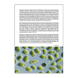 Vitamin D  ein Update