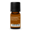 Huile essentielle d'hélichryse italienne (Immortelle) sauvage