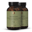 Brain Recovery