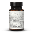Fermented Turmeric