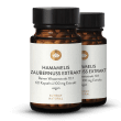 Hamamelis Extract