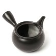 Kyusu Tokoname Kasen Hiraami