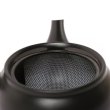 Kyusu Tokoname Kasen Hiraami