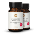 Vitamina B12 frmula MH3A 1000g