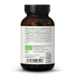 Extracto de reishi bio + polvo en cpsulas