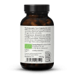 Extracto de shiitake bio + polvo en cpsulas