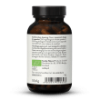 Biologisch Shiitake Extract + Poeder Capsules