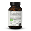 Extrait + poudre de pleurote bio en glules