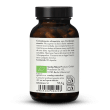 Extracto de Cordyceps bio en cpsulas