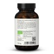 Ekologiskt Cordyceps extrakt kapslar