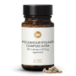 Foliumzuur (Folaat) Complex Ultra 800 g