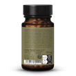 Phyto Energy