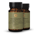Phyto Energie Vitale Mix