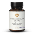 Lactobacillus Reuteri Pylopass