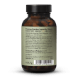 VeganLife Amino+