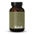Fatigue Complex
