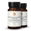 Ekstrakt z ostropestu plamistego 250mg
