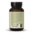 Immun Antivir