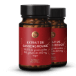 Extrait de ginseng rouge 19,5 %
