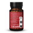 Extrait de ginseng rouge 19,5 %