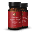 Estratto di ginseng rosso 19,5%
