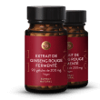 Extrait de ginseng rouge ferment
