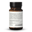 Jodium 100 g mini-tabletten