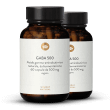 GABA 500 mg capsule