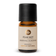 Essential Oil Blend Fear Not