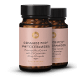 Ceramide-PCD fytoceramider