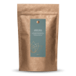 Ginkgo Youth Phyto Activate
