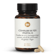 Complexe de fer vgtal 14 mg