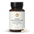 Igname sauvage du Mexique