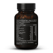 Eisen Komplex Pro 40 mg