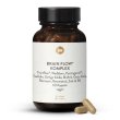 Brain Flow Complex