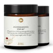 Ashwagandha KSM-66 Gummies