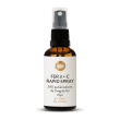 Fer + vitamine C Rapid Spray