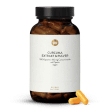Kurkuma extract + poeder
