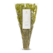 Titan Mountain Tea Bio