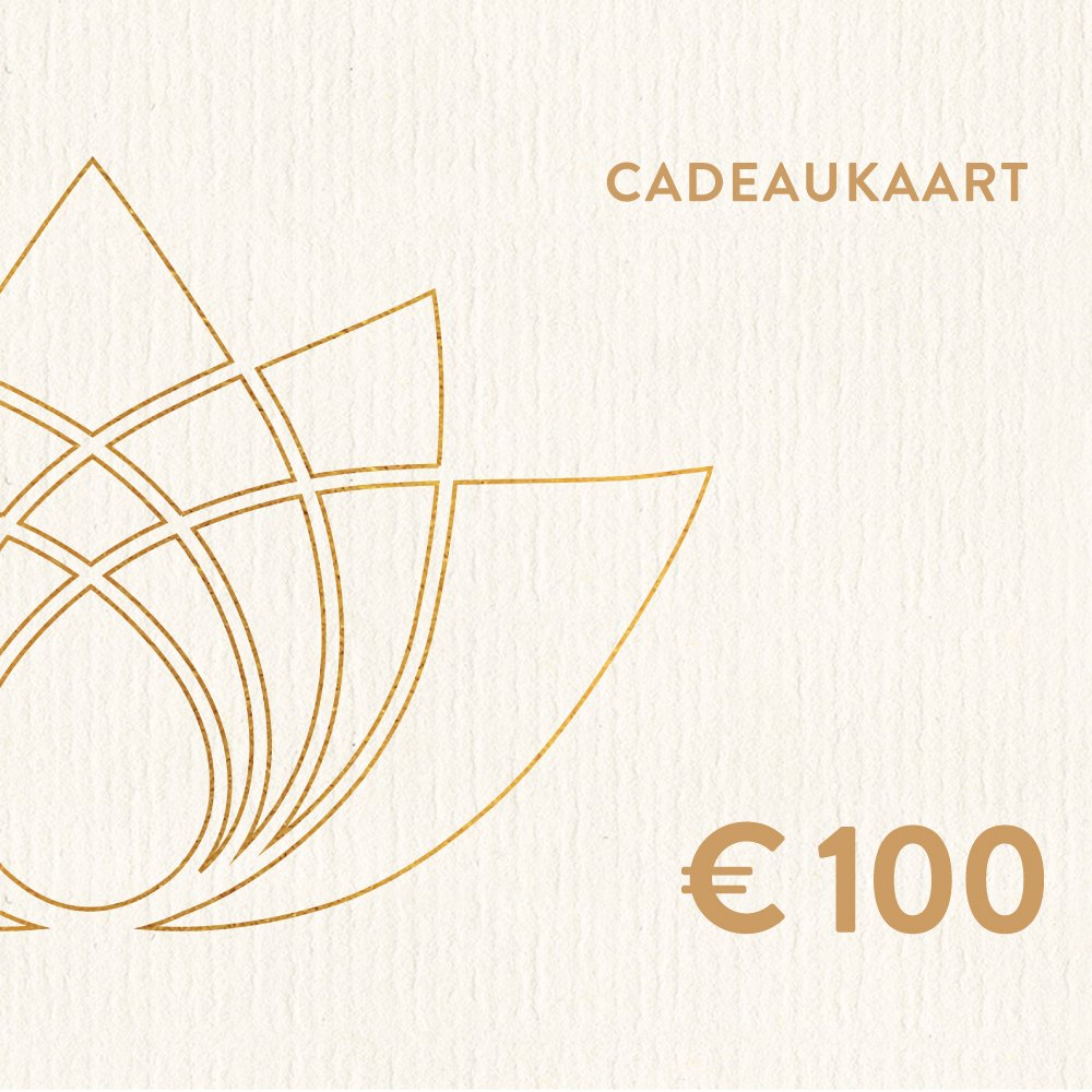 100 euro cadeaukaart 1 pc.