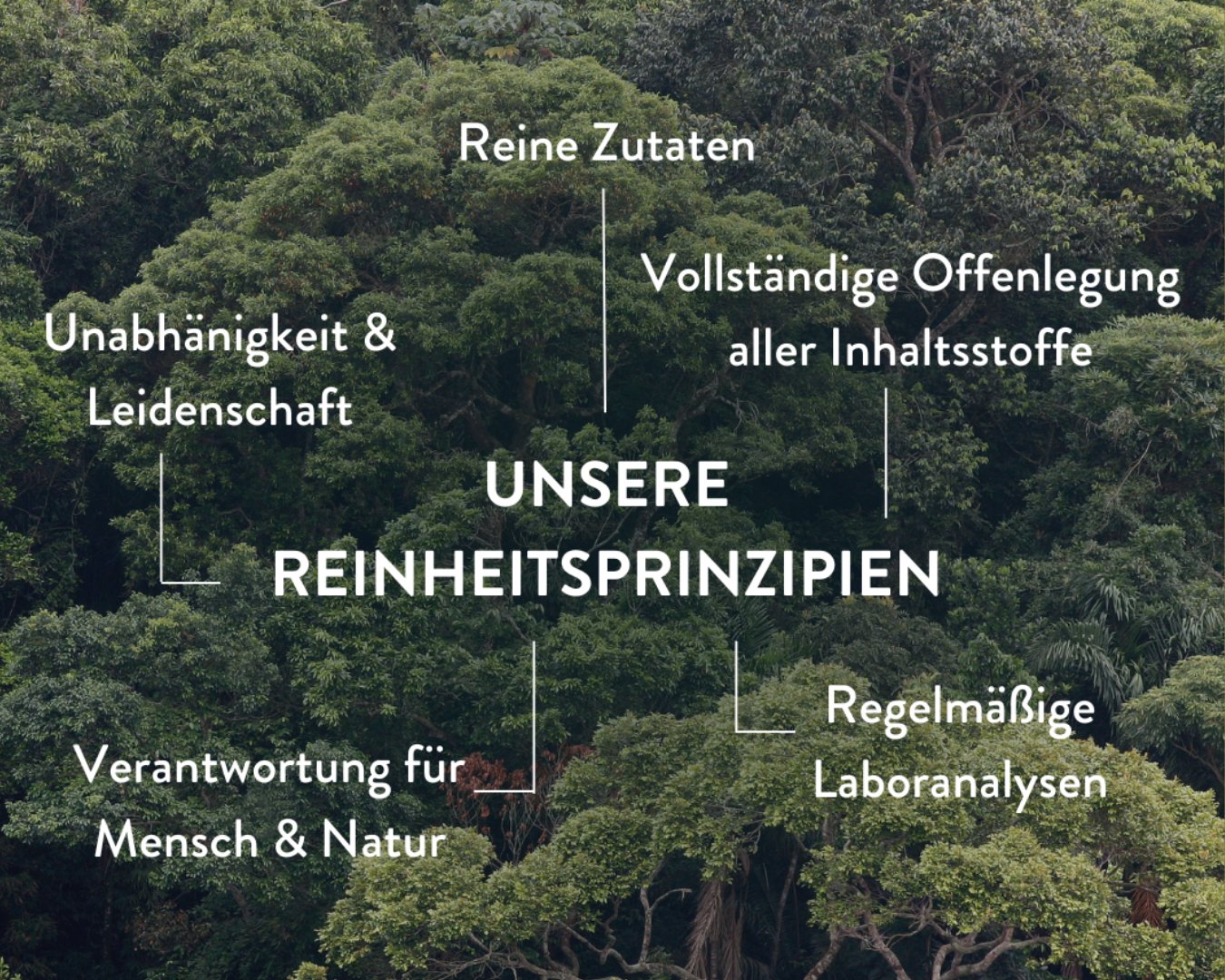 Sunday Natural Reinheitsprinzipien, Reine Zutaten, Regelm&auml;&szlig;ige Laboranalysen, Verantwortung f&uuml;r Mensch und Natur, Unabh&auml;ngigkeit und Leidenschaft, Vollst&auml;ndige Offenlegung aller Inhaltsstoffe