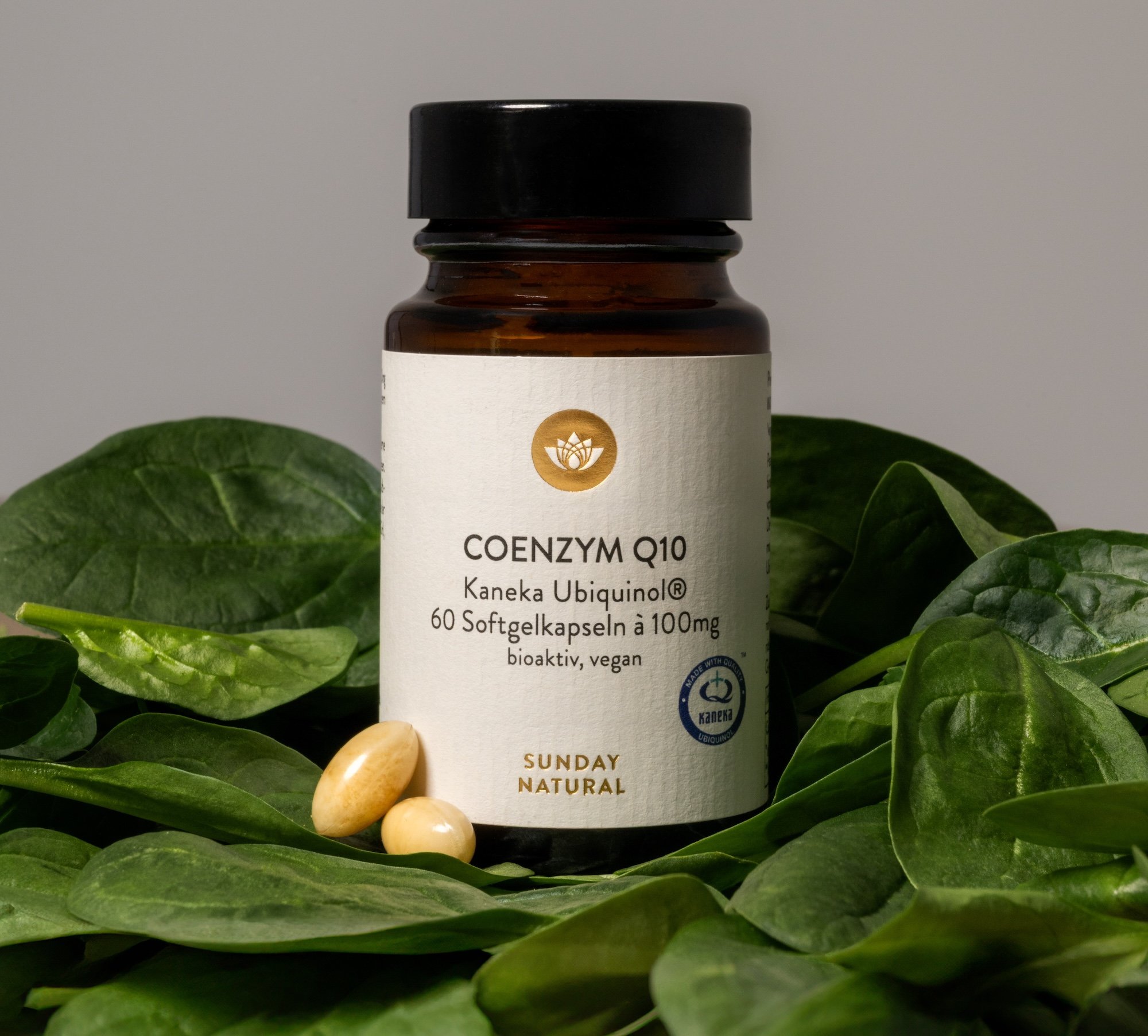 Coenzym Q10 Softgel Kapseln